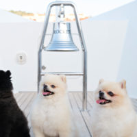 Three fluffy Pomeranian dogs sitting on a yacht deck, with a nautical bell labeled 'ROCKET' and coiled ropes on either side.